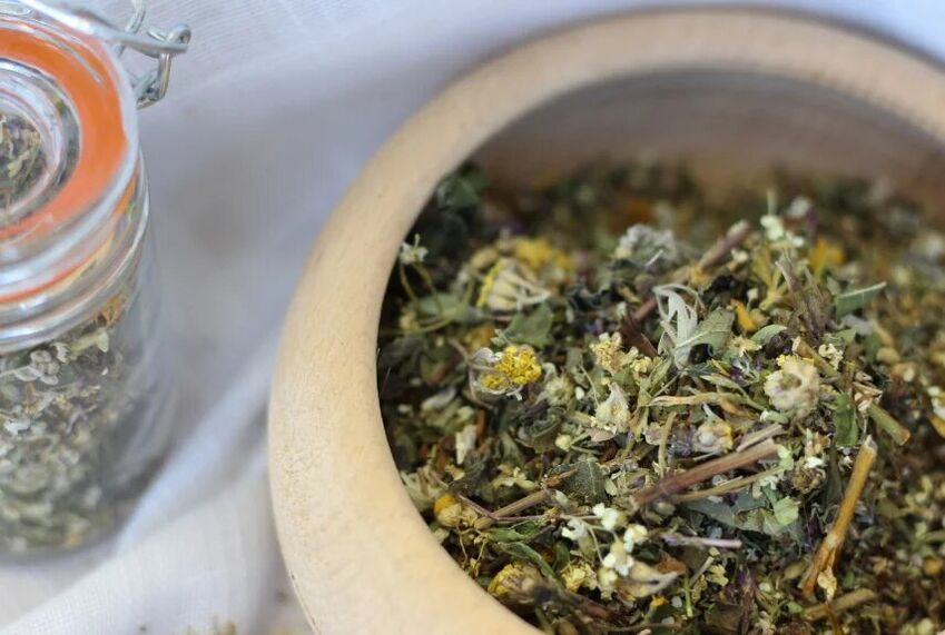 hierbas medicinales para el tratamiento de hongos
